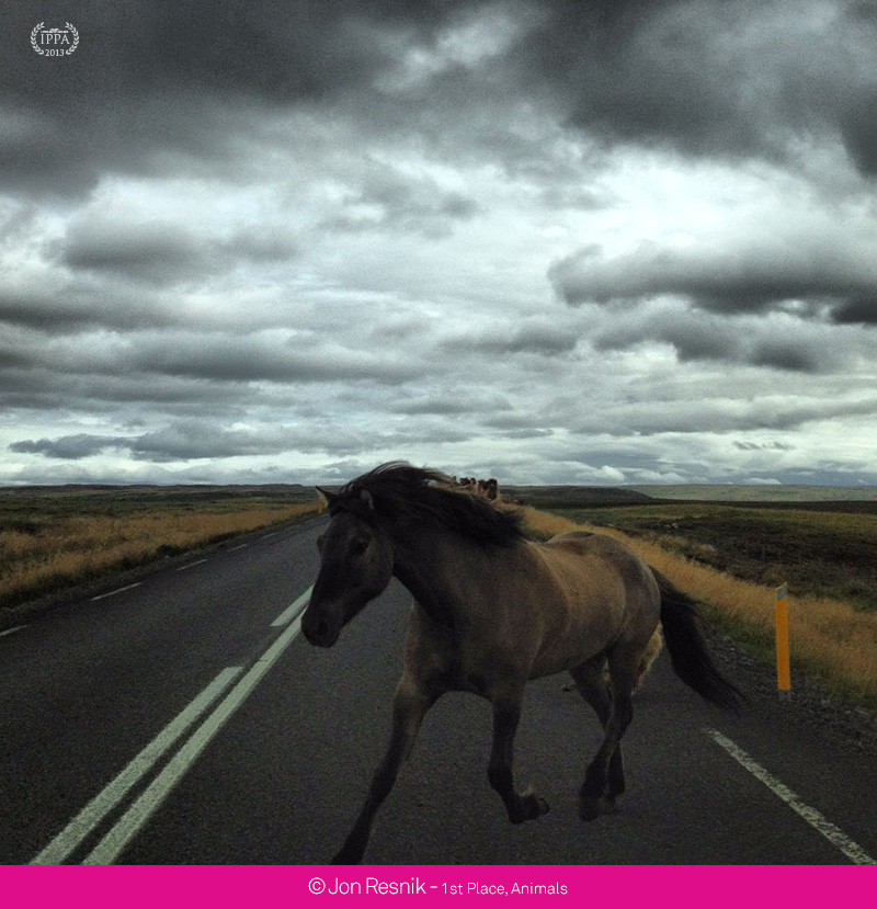 I virtuosi delle foto con iPhone premiati al 2013 iPhone Photography Awards