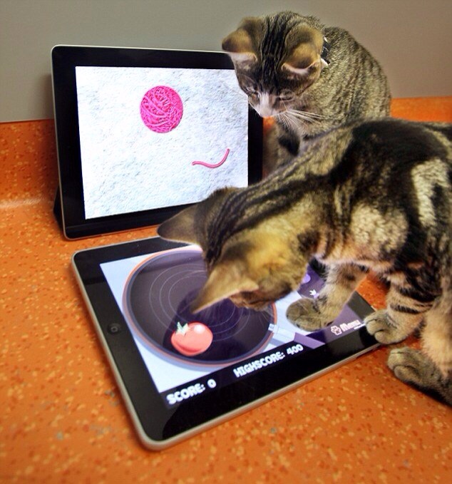 Le migliori app per iPad per i gatti! Pond 2, Magic piano, Paint for cats e molte altre!